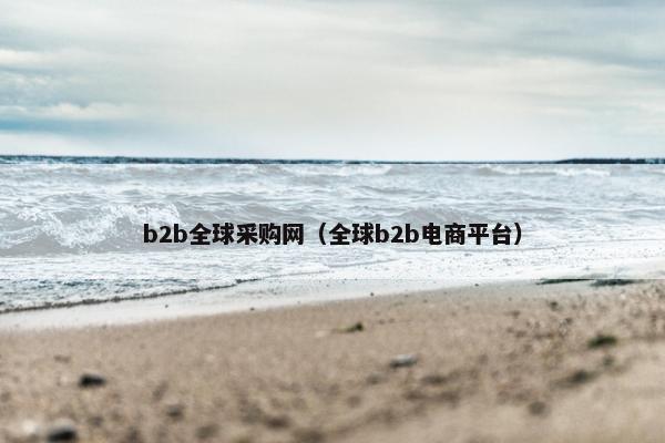 b2b全球采购网（全球b2b电商平台）