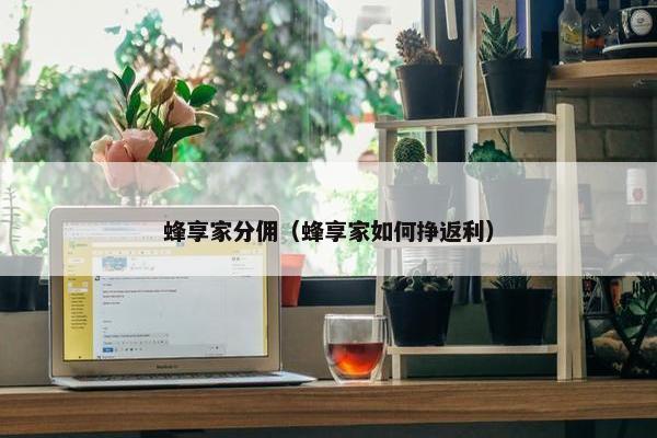 蜂享家分佣（蜂享家如何挣返利）