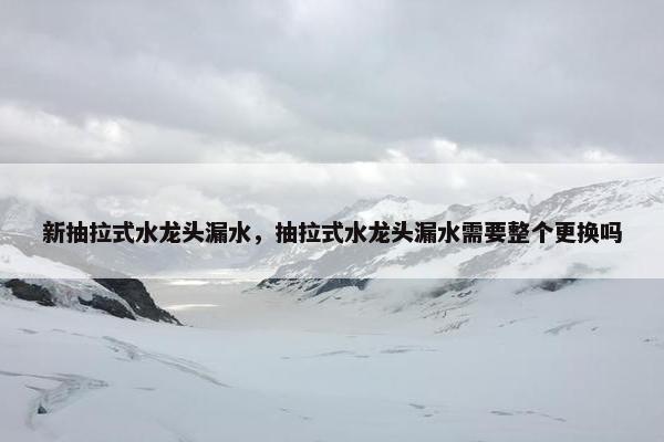 新抽拉式水龙头漏水，抽拉式水龙头漏水需要整个更换吗