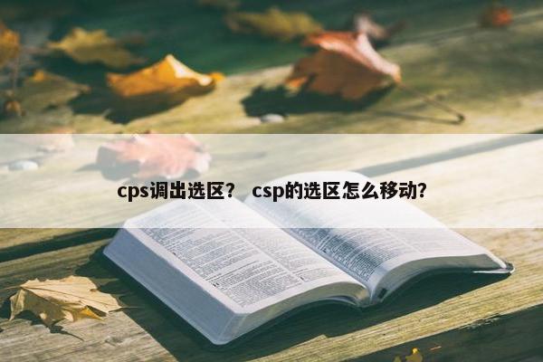 cps调出选区？ csp的选区怎么移动？