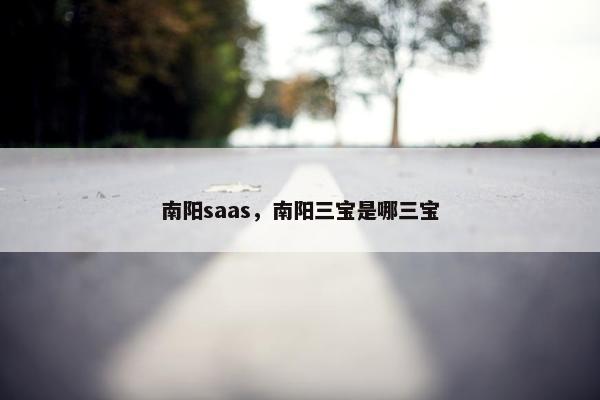 南阳saas，南阳三宝是哪三宝