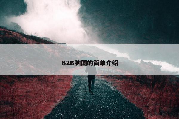 B2B脑图的简单介绍