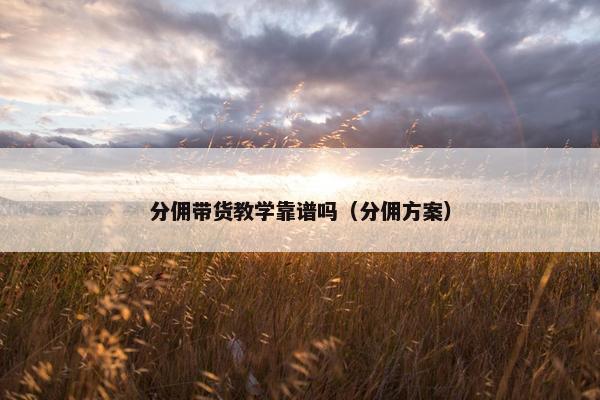 分佣带货教学靠谱吗（分佣方案）