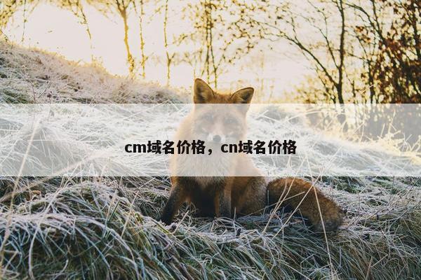cm域名价格，cn域名价格