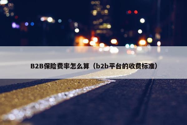B2B保险费率怎么算（b2b平台的收费标准）