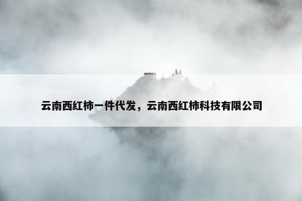 云南西红柿一件代发，云南西红柿科技有限公司