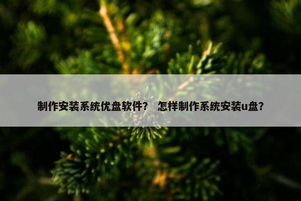 制作安装系统优盘软件？ 怎样制作系统安装u盘？