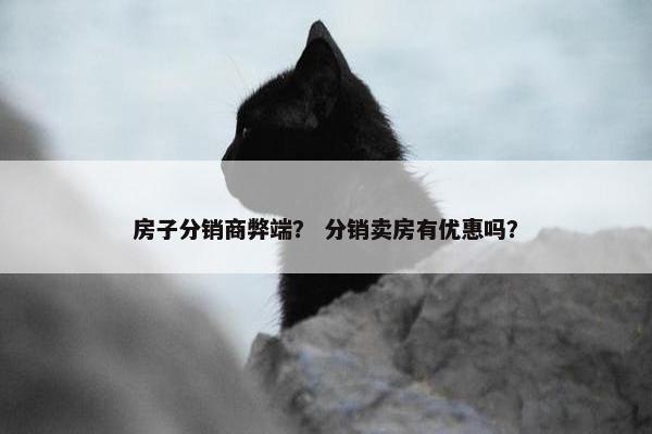 房子分销商弊端？ 分销卖房有优惠吗？