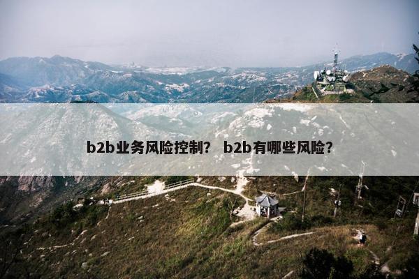 b2b业务风险控制？ b2b有哪些风险？