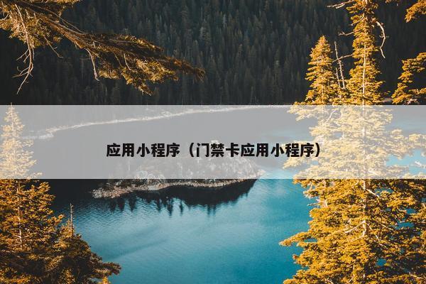 应用小程序（门禁卡应用小程序）