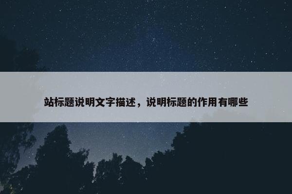 站标题说明文字描述，说明标题的作用有哪些