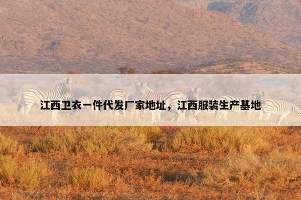 江西卫衣一件代发厂家地址，江西服装生产基地