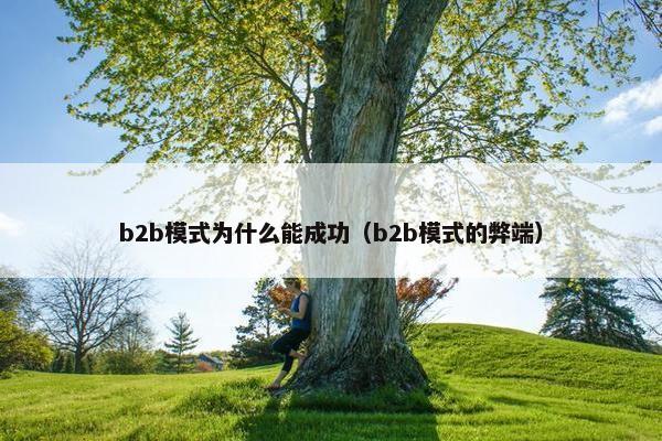 b2b模式为什么能成功（b2b模式的弊端）