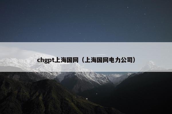 chgpt上海国网（上海国网电力公司）