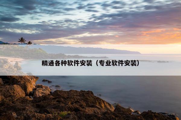 精通各种软件安装（专业软件安装）