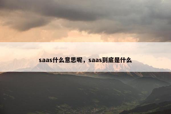 saas什么意思呢，saas到底是什么