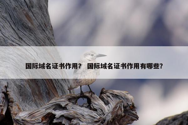 国际域名证书作用？ 国际域名证书作用有哪些？