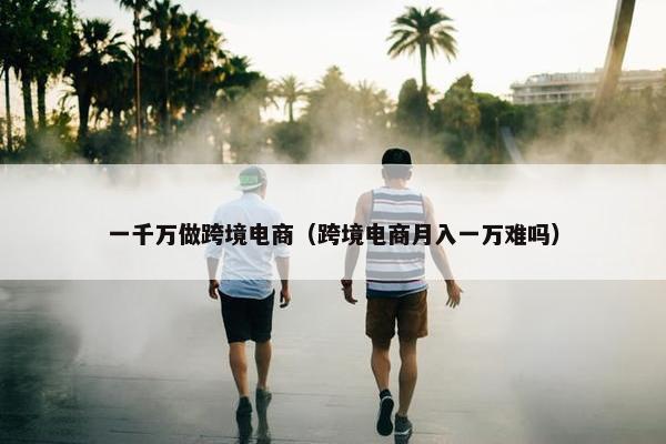 一千万做跨境电商（跨境电商月入一万难吗）