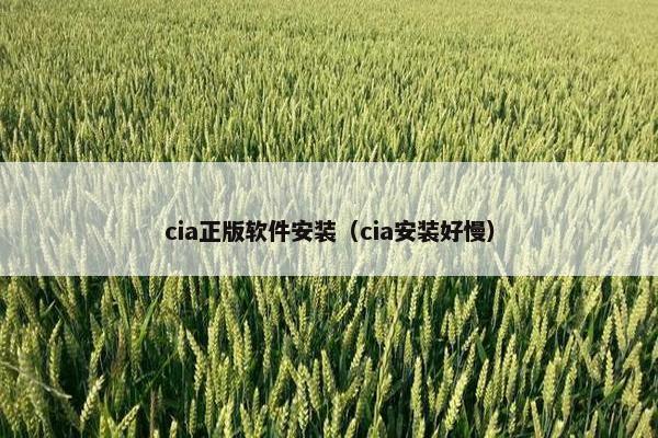 cia正版软件安装（cia安装好慢）