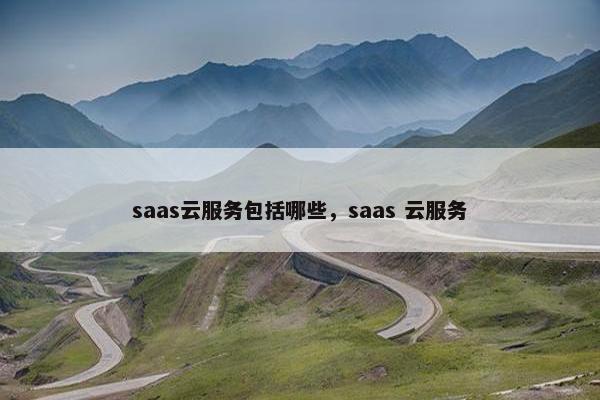 saas云服务包括哪些，saas 云服务