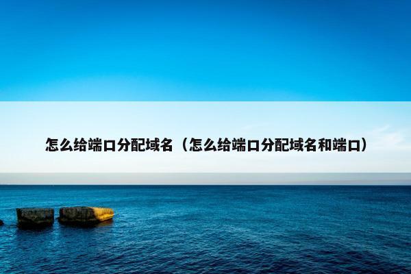 怎么给端口分配域名（怎么给端口分配域名和端口）