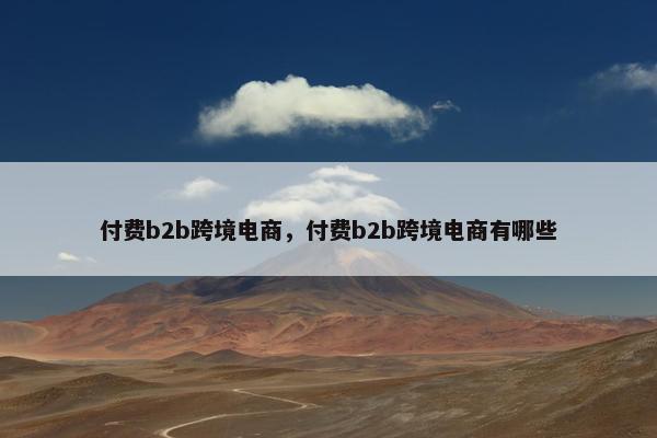 付费b2b跨境电商，付费b2b跨境电商有哪些