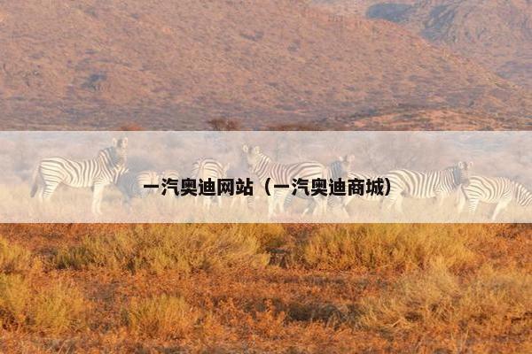 一汽奥迪网站（一汽奥迪商城）