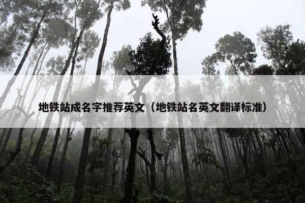 地铁站成名字推荐英文（地铁站名英文翻译标准）