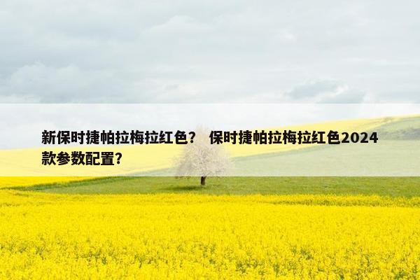 新保时捷帕拉梅拉红色？ 保时捷帕拉梅拉红色2024款参数配置？