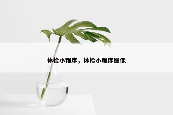 体检小程序，体检小程序图像