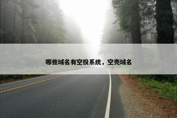 哪些域名有空投系统，空壳域名