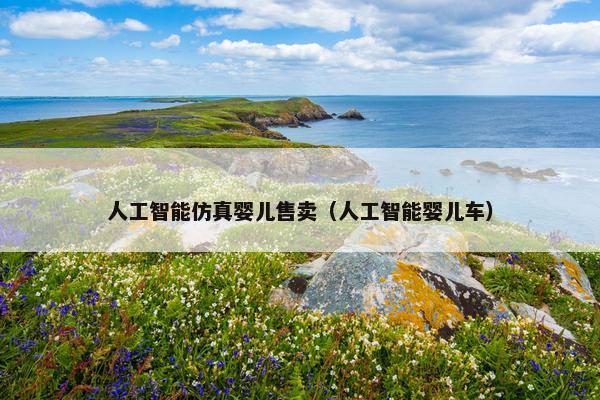 人工智能仿真婴儿售卖（人工智能婴儿车）