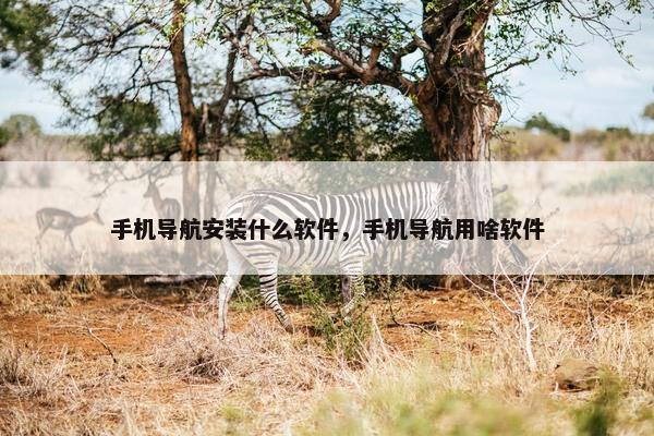 手机导航安装什么软件，手机导航用啥软件