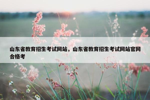 山东省教育招生考试网站，山东省教育招生考试网站官网合格考