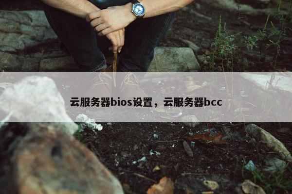 云服务器bios设置，云服务器bcc