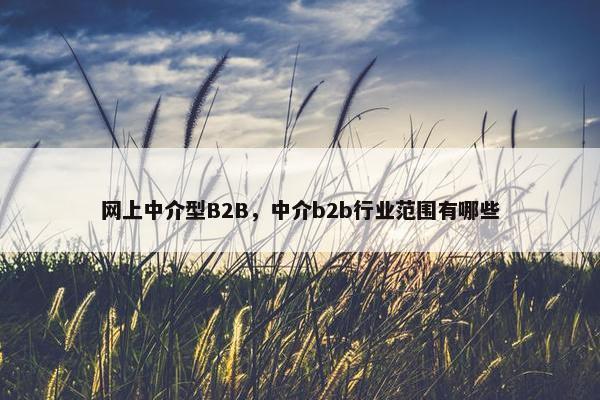 网上中介型B2B，中介b2b行业范围有哪些