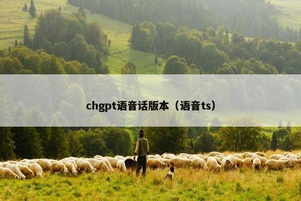 chgpt语音话版本（语音ts）