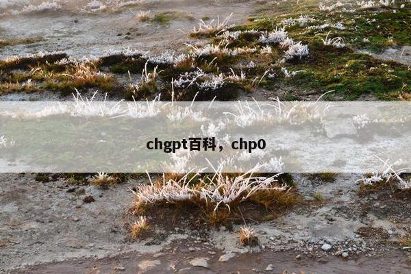 chgpt百科，chp0