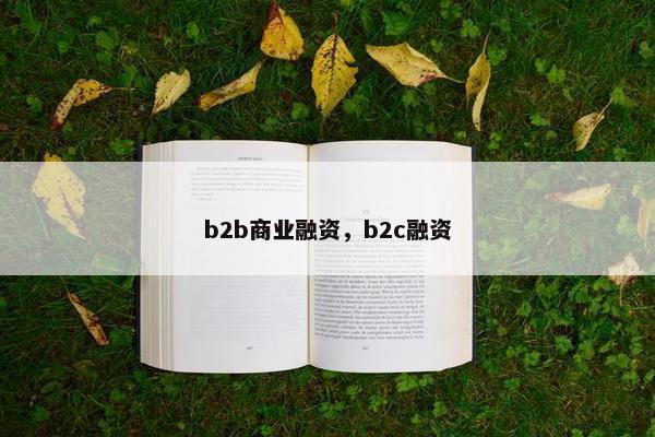 b2b商业融资，b2c融资