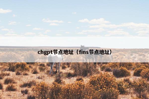 chgpt节点地址（fins节点地址）