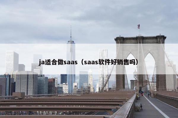 ja适合做saas（saas软件好销售吗）