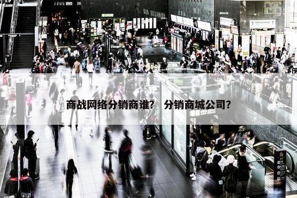 商战网络分销商谁？ 分销商城公司？