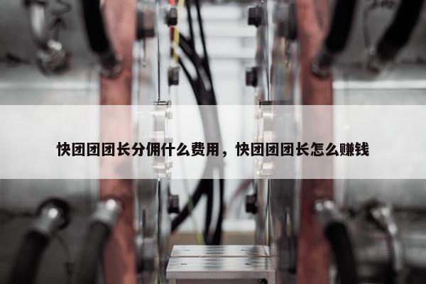 快团团团长分佣什么费用，快团团团长怎么赚钱