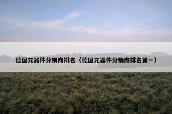 德国元器件分销商排名（德国元器件分销商排名第一）