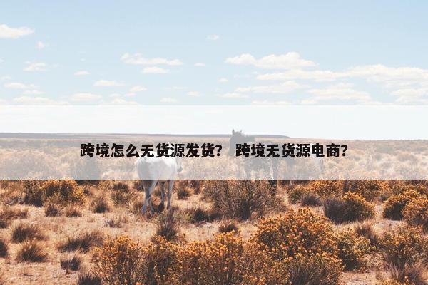 跨境怎么无货源发货？ 跨境无货源电商？