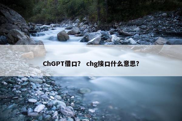 ChGPT借口？ chg接口什么意思？