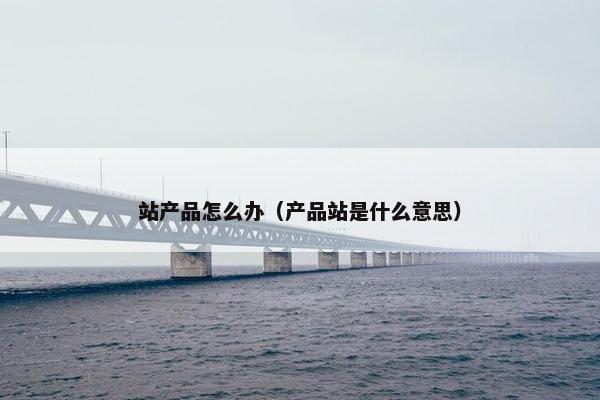 站产品怎么办（产品站是什么意思）