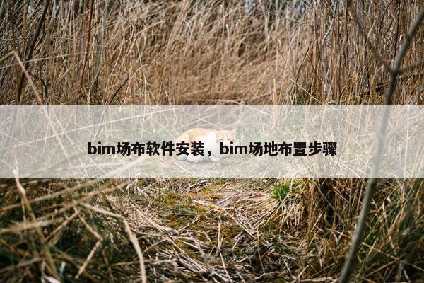 bim场布软件安装，bim场地布置步骤