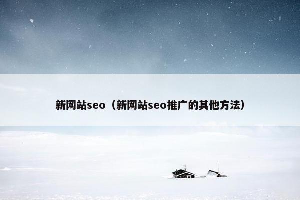 新网站seo（新网站seo推广的其他方法）