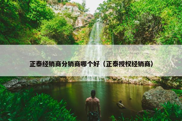 正泰经销商分销商哪个好（正泰授权经销商）